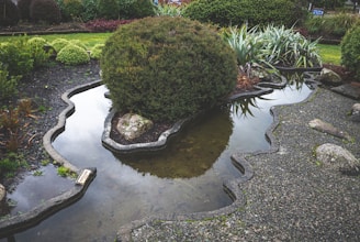 A landscaped garden features an intricately shaped pond with clear water, surrounded by neatly trimmed bushes and different types of green foliage. Rocks are carefully placed around the pond, and there is a clear reflection of the greenery in the water.