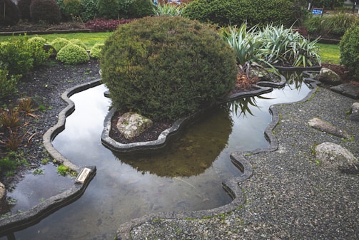A landscaped garden features an intricately shaped pond with clear water, surrounded by neatly trimmed bushes and different types of green foliage. Rocks are carefully placed around the pond, and there is a clear reflection of the greenery in the water.