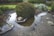 A landscaped garden features an intricately shaped pond with clear water, surrounded by neatly trimmed bushes and different types of green foliage. Rocks are carefully placed around the pond, and there is a clear reflection of the greenery in the water.