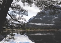 An inspiring quote overlaid on a serene landscape, perfect for thoughtful sharing.