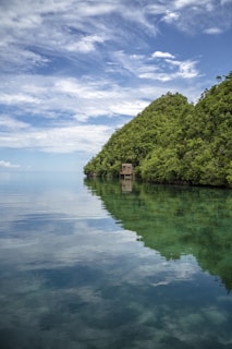 A tranquil scene showcasing the essence of holistic living.