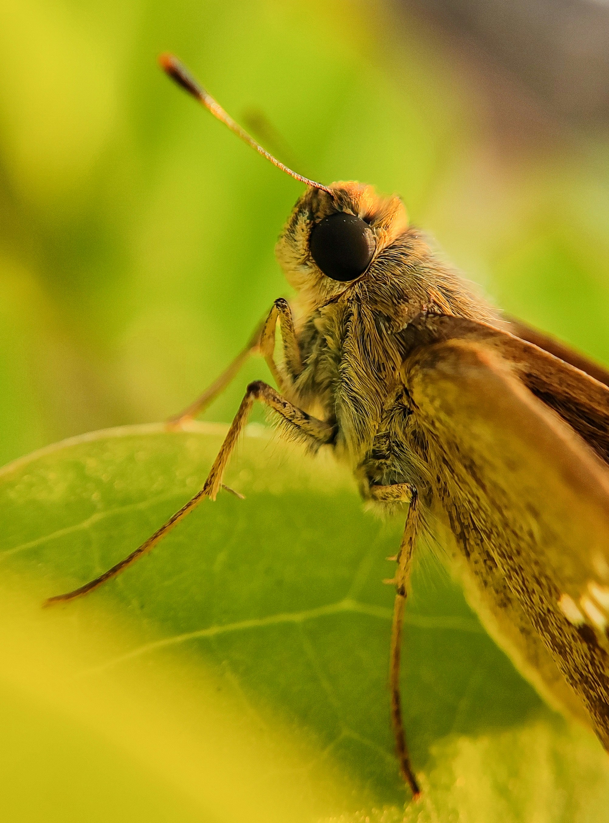 Photo by macrosam