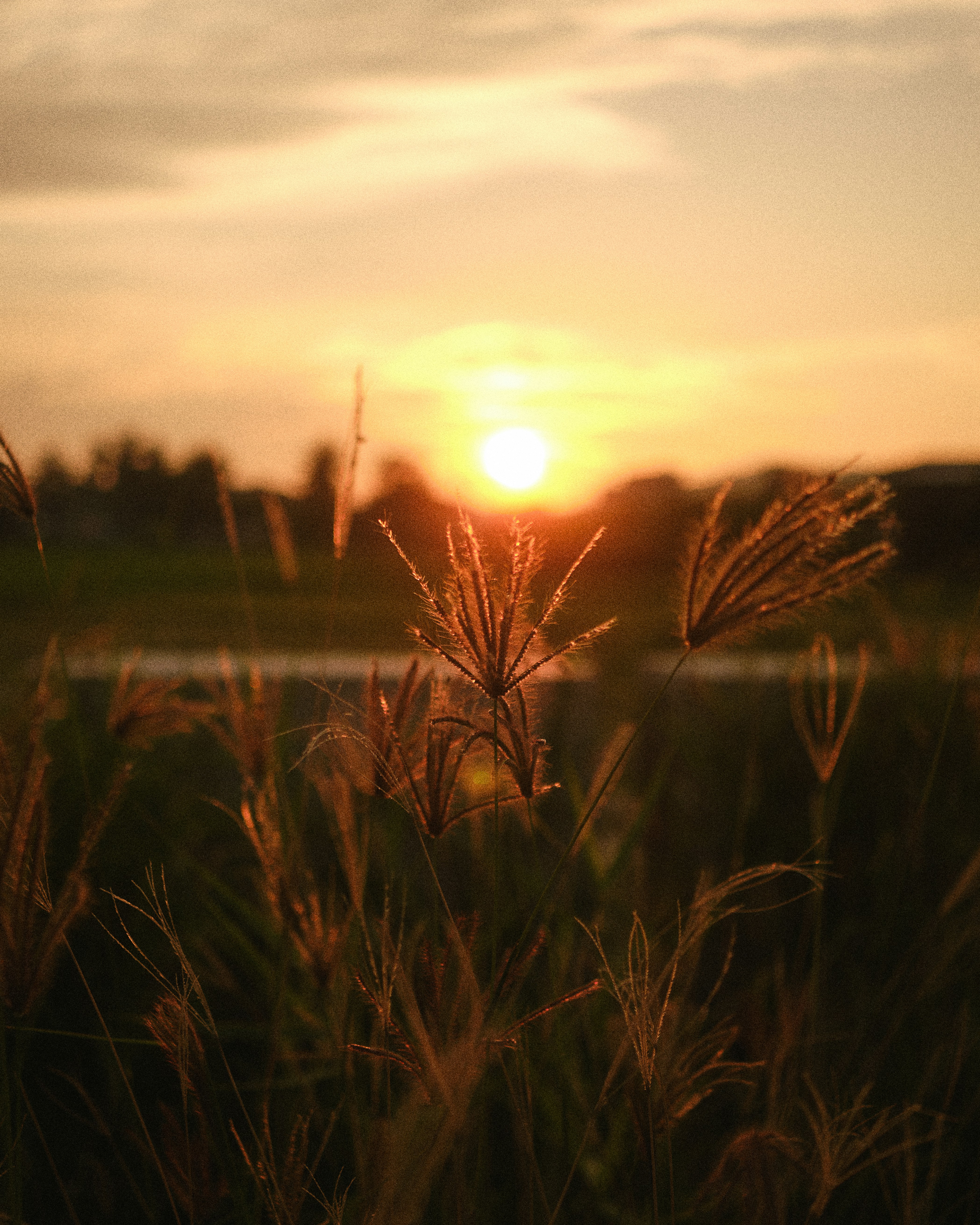 Photo by roberto_j_saldana