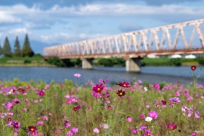Travelers crossing a wooden bridge over a sparkling river surrounded by wildflowers