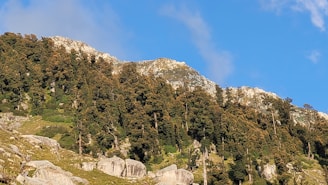 A forested mountain slope with rocky outcrops, covered in dense trees, surrounded by clear blue sky above.