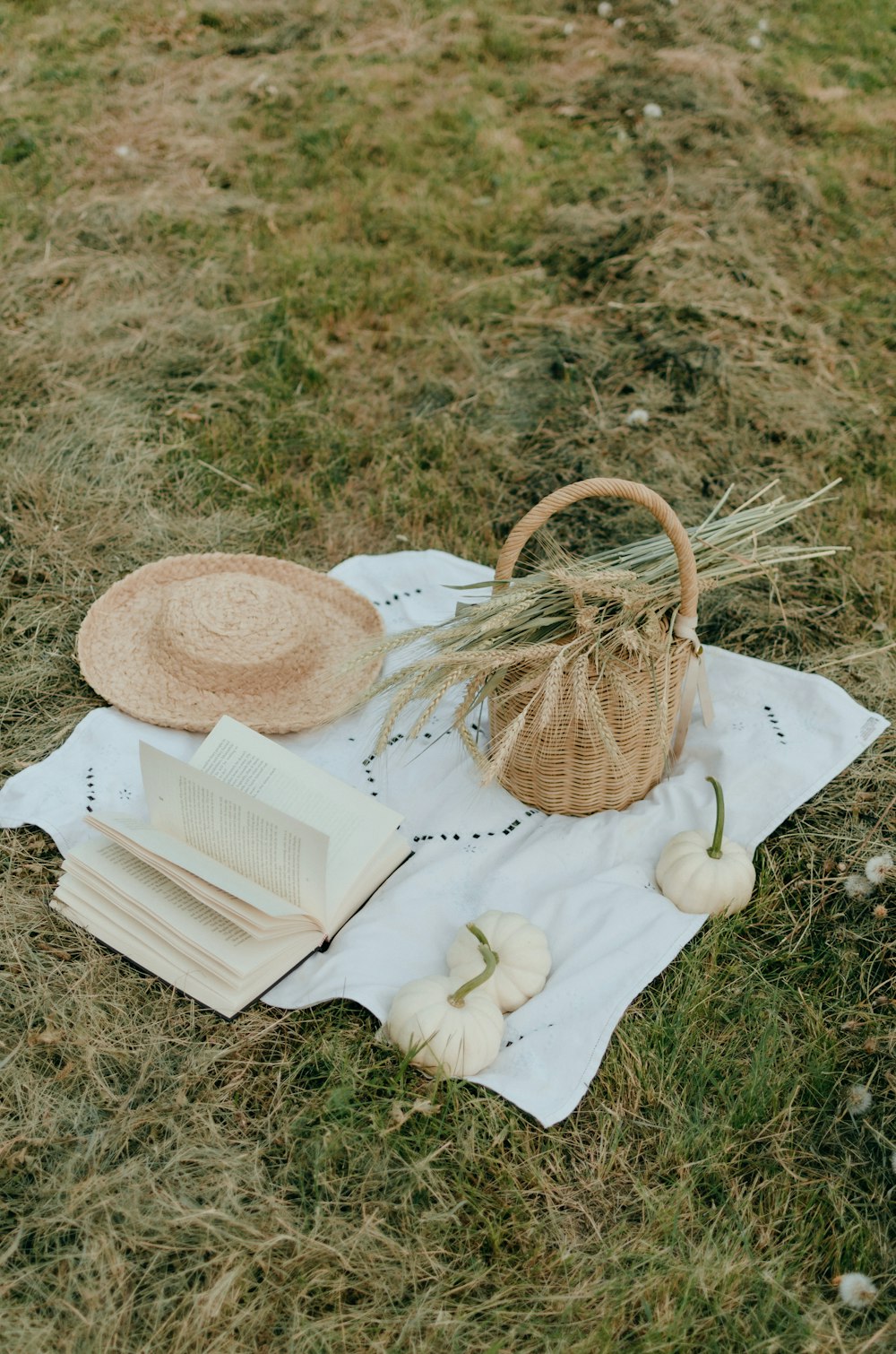 a book and a basket on a towel on the grass