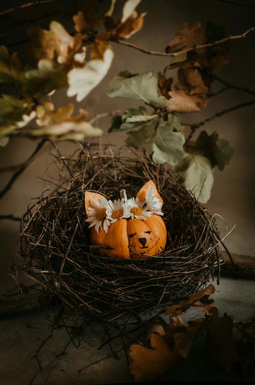 a bird's nest with two pumpkins in it