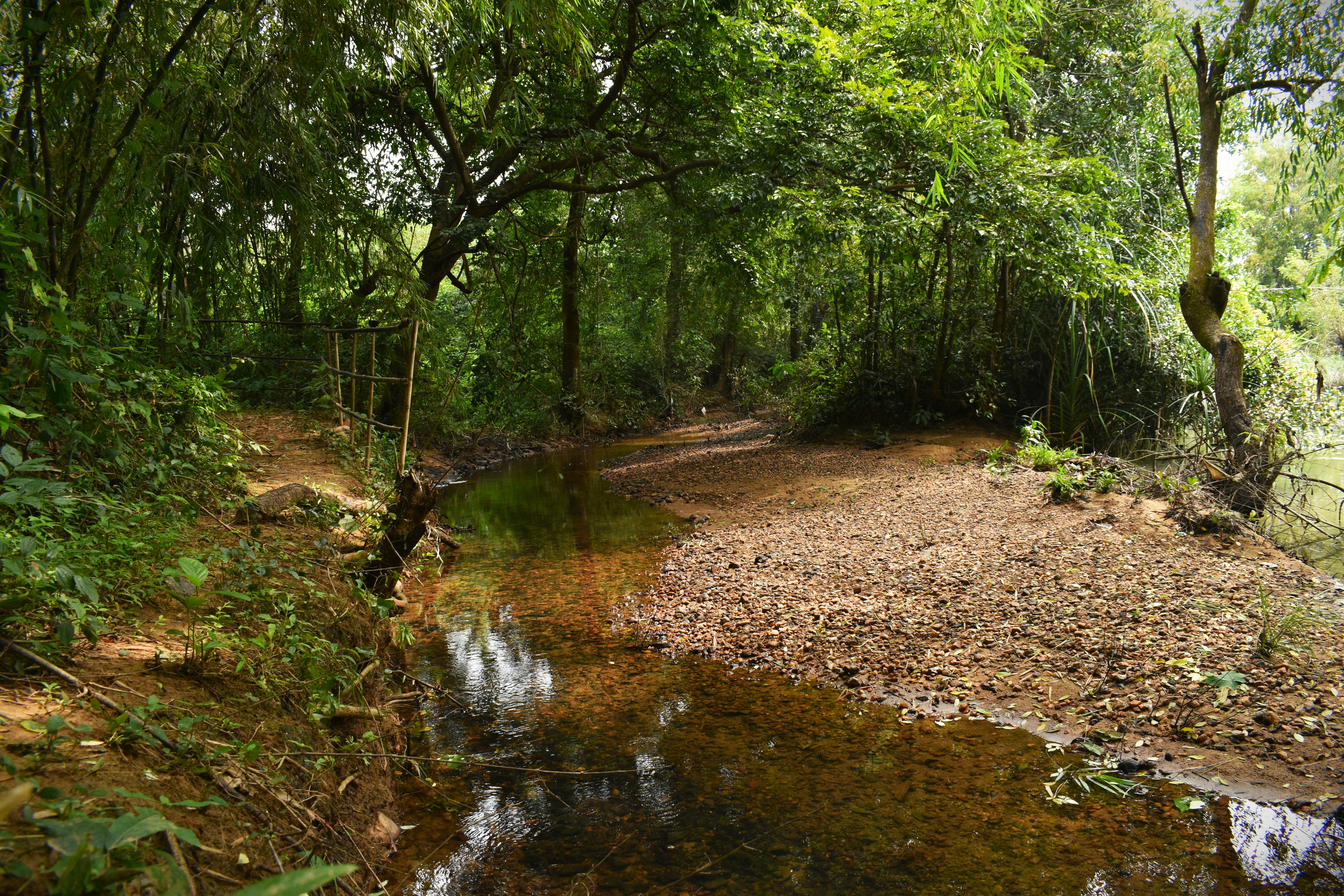 Photo by rishu_bhosale