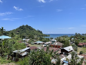 A lush tropical landscape with a mix of residential buildings and dense green foliage in the foreground. A hill covered with vibrant greenery rises in the background, leading to a calm blue ocean under a clear sky.