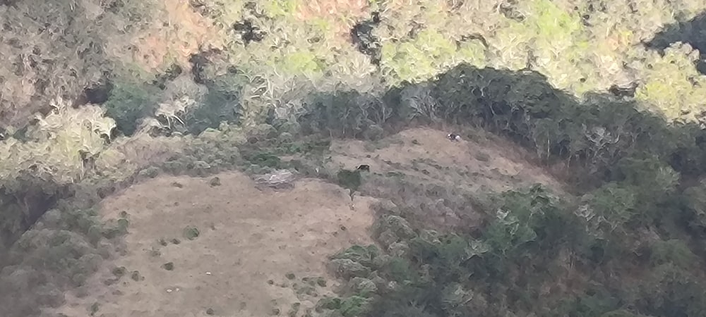 an aerial view of a forested area with a bird's eye view