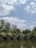 A row of small wooden cabins sits along the edge of a calm lake, surrounded by lush green trees and foliage. The sky above is dotted with fluffy white clouds, suggesting a clear, peaceful day.