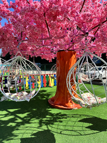 A setup of adjustable tree perches at varying heights surrounded by soft soil.