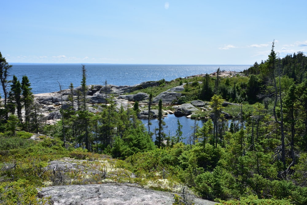 a body of water surrounded by trees and rocks