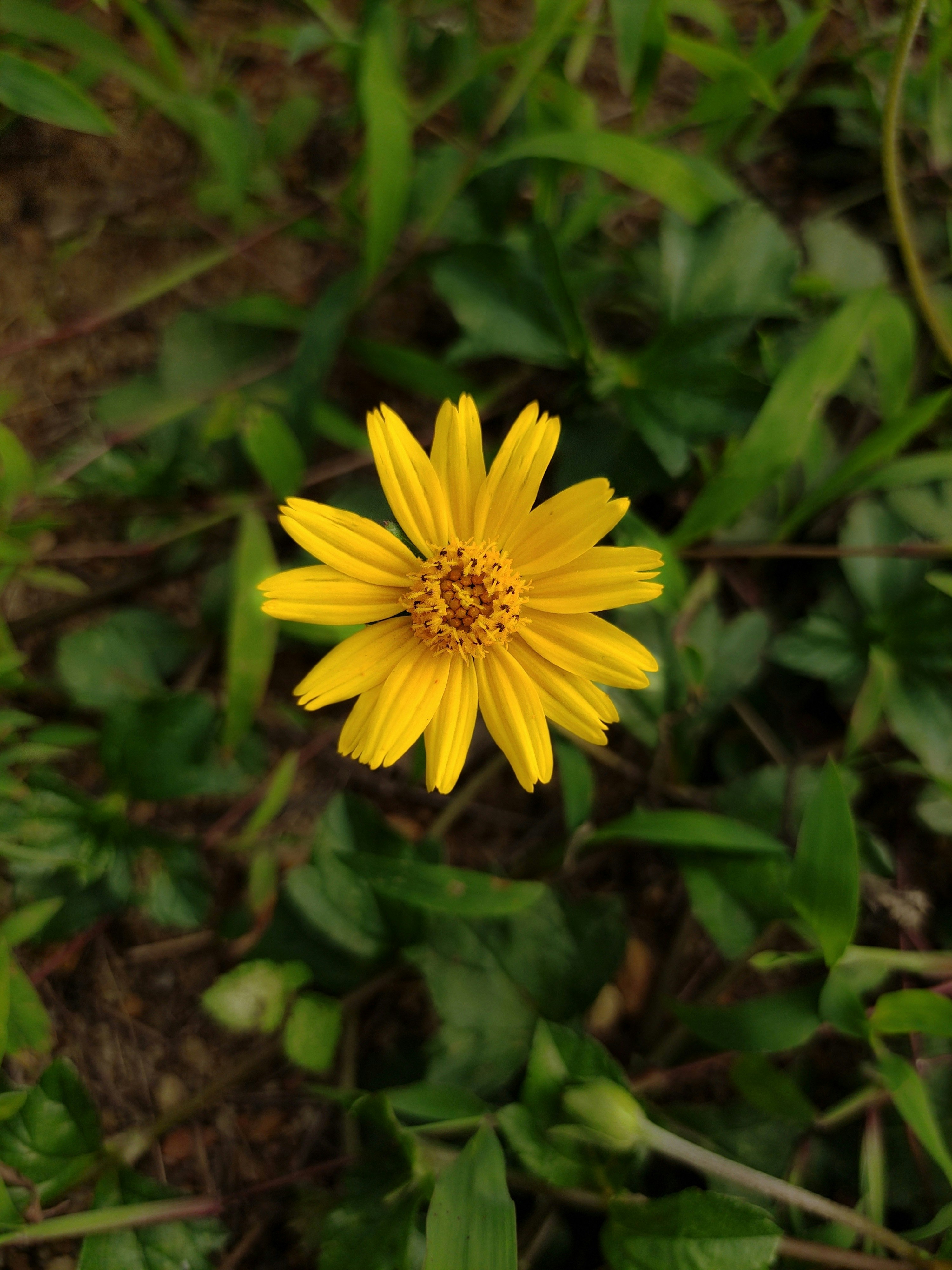 Photo by tusharshetty04