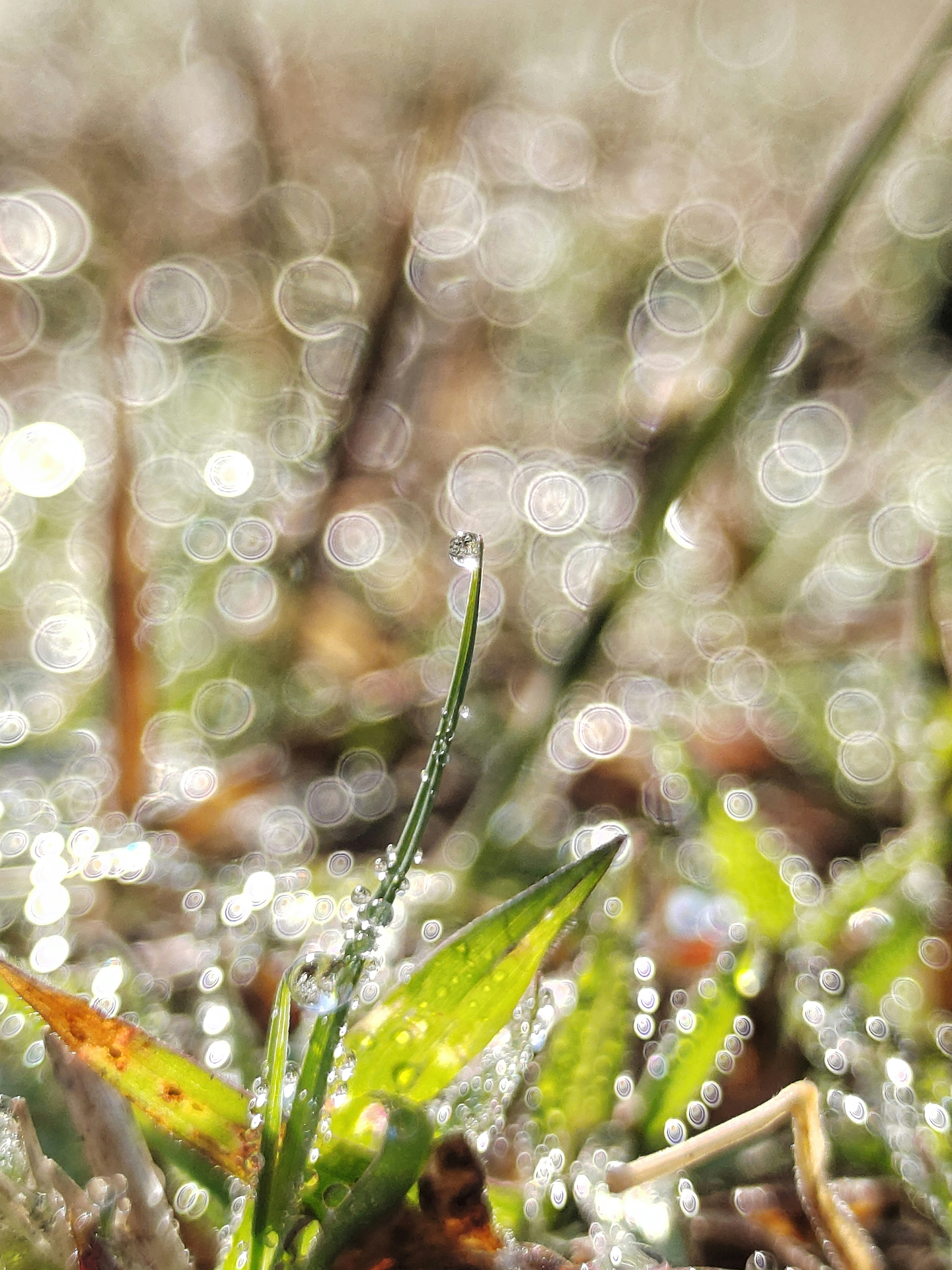 Photo by tusharshetty04