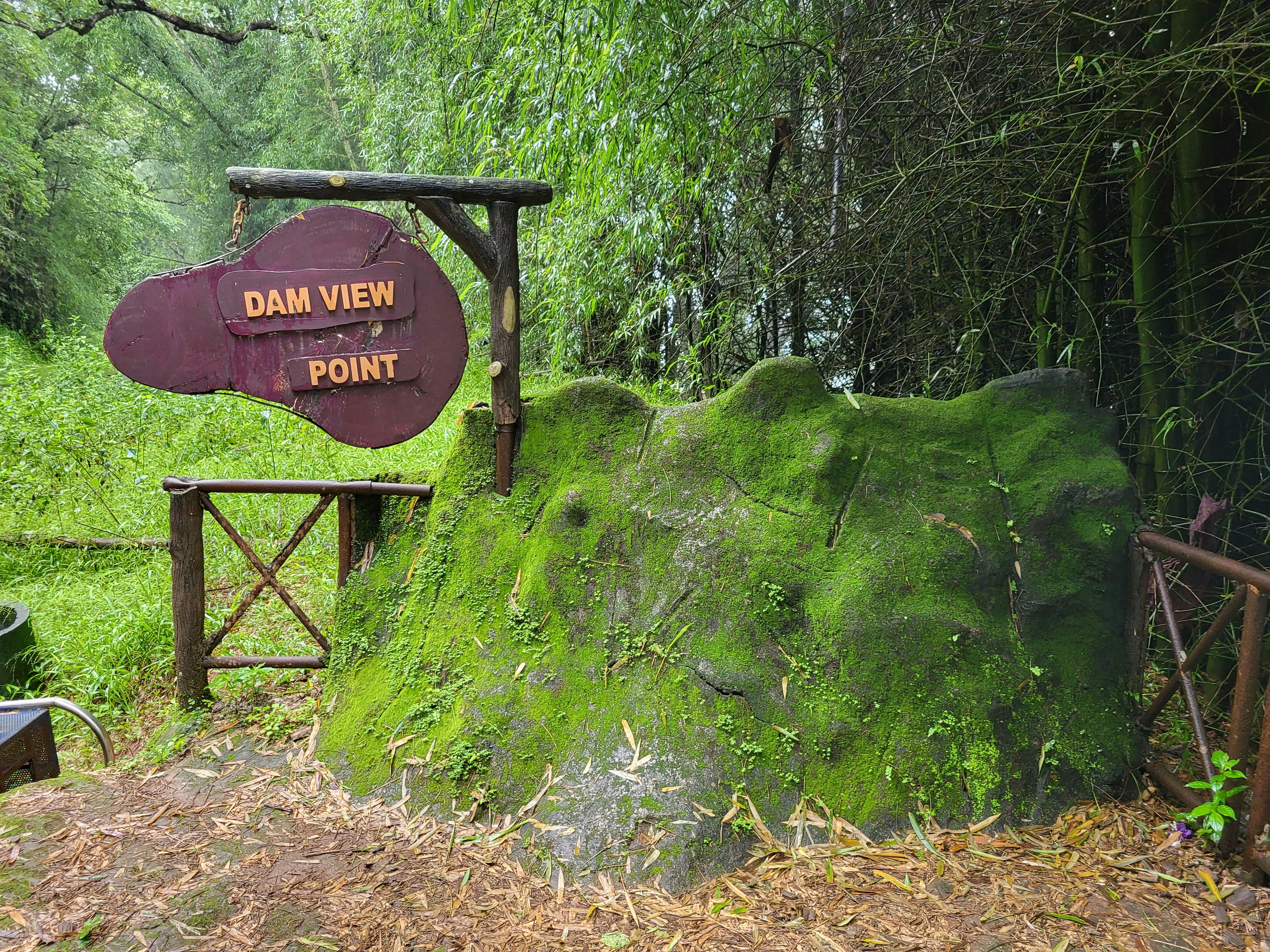 Swan Valley Wine Region photo 2