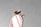 A close-up of a decorative item resembling a stylized bird with a smooth, oval-shaped stone featuring pink and white stripes. The bird's eye is represented by a small red gemstone, and the piece has intricate metalwork around the stone, adding an ornamental touch.