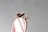 A close-up of a decorative item resembling a stylized bird with a smooth, oval-shaped stone featuring pink and white stripes. The bird's eye is represented by a small red gemstone, and the piece has intricate metalwork around the stone, adding an ornamental touch.