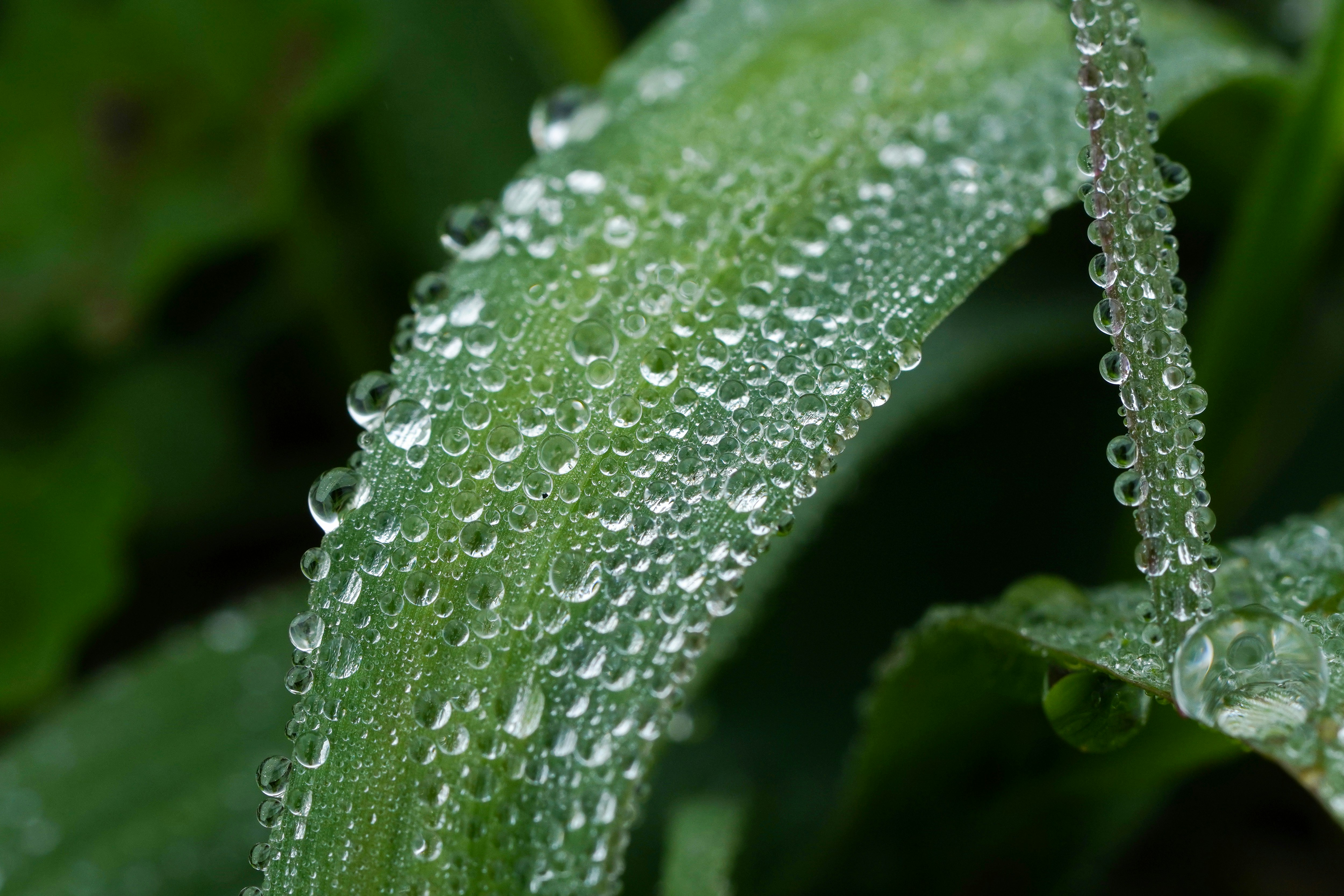 Photo by kim_dae_jeung