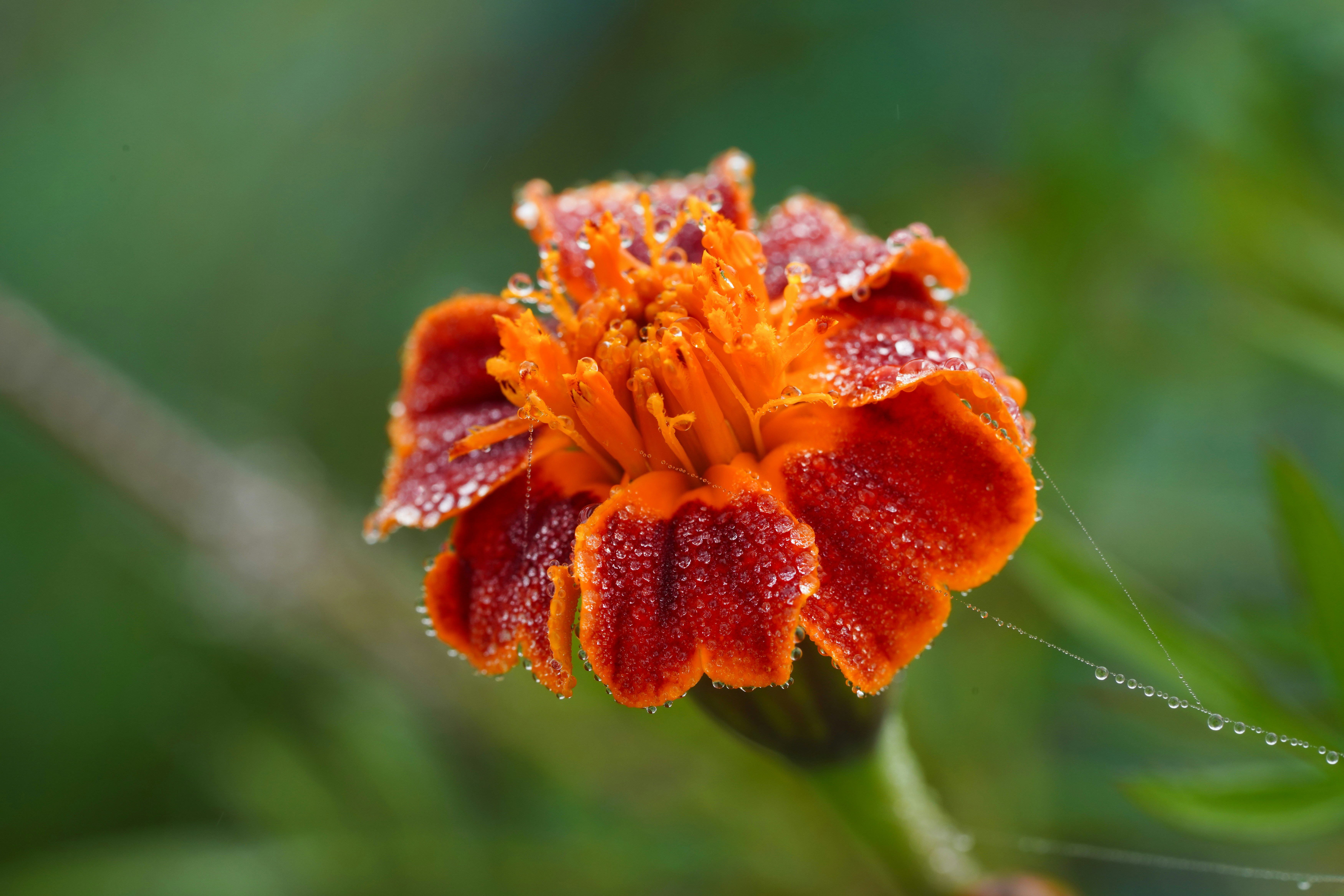 Photo by kim_dae_jeung