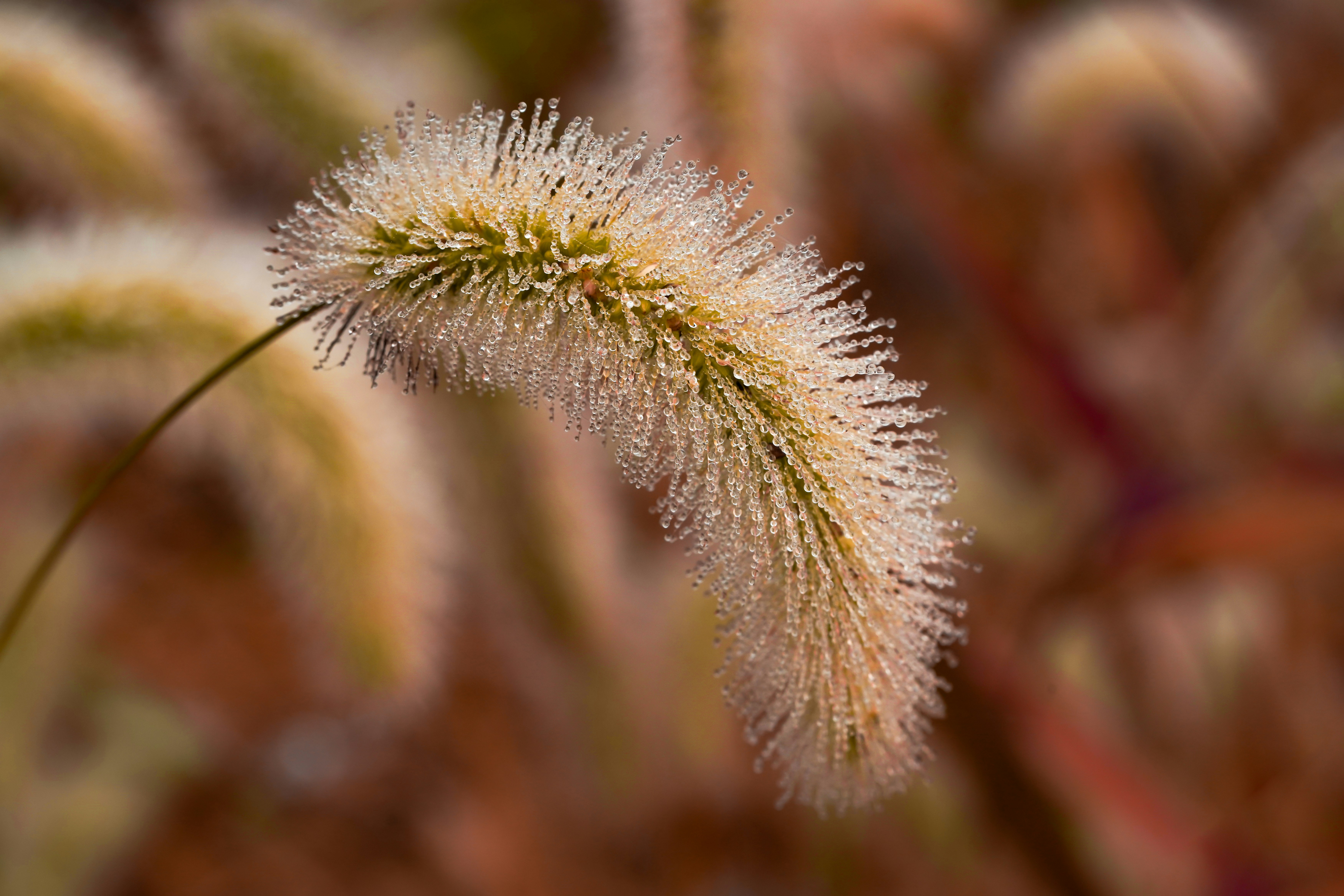 Photo by kim_dae_jeung