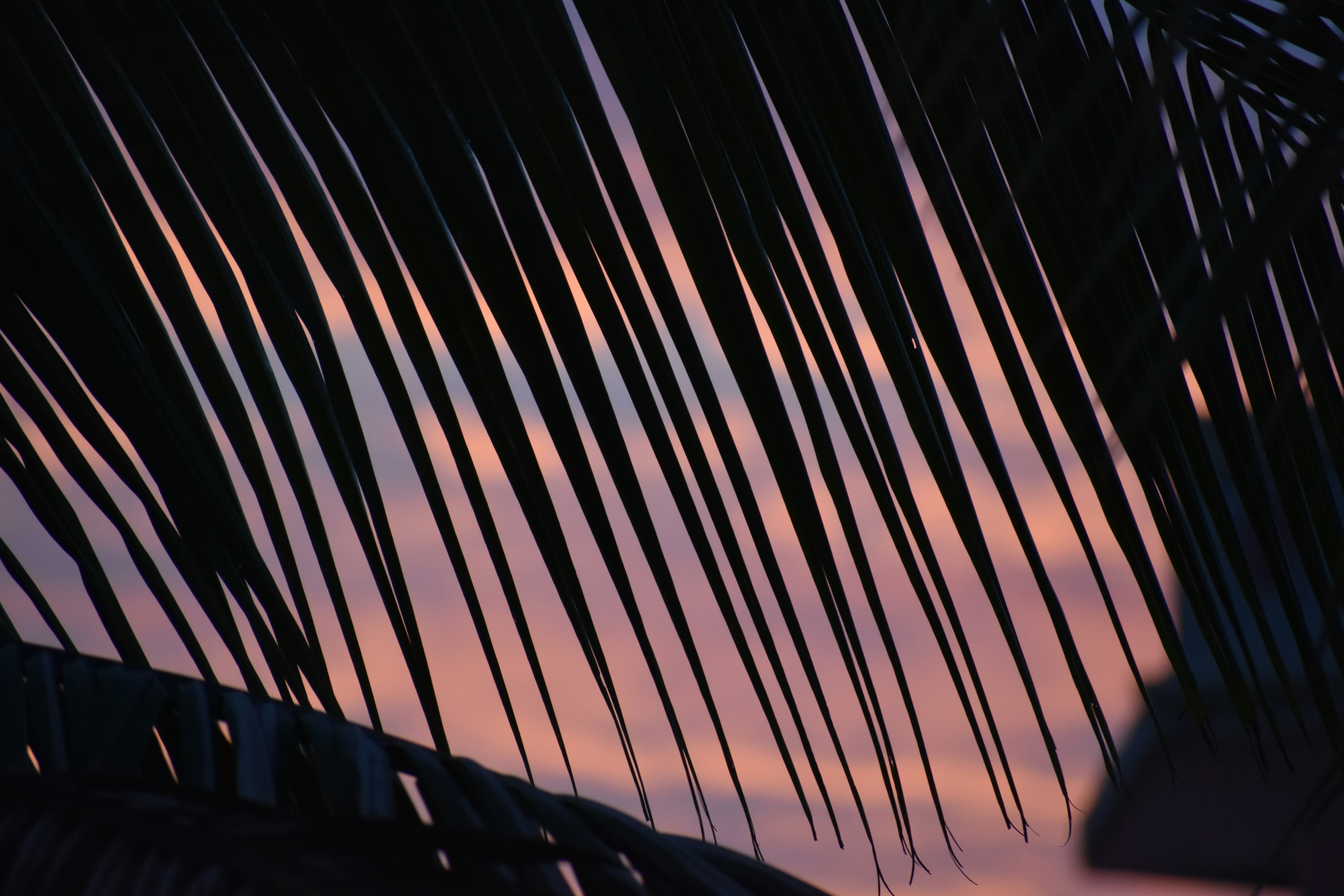 Photo by raymondpaulv