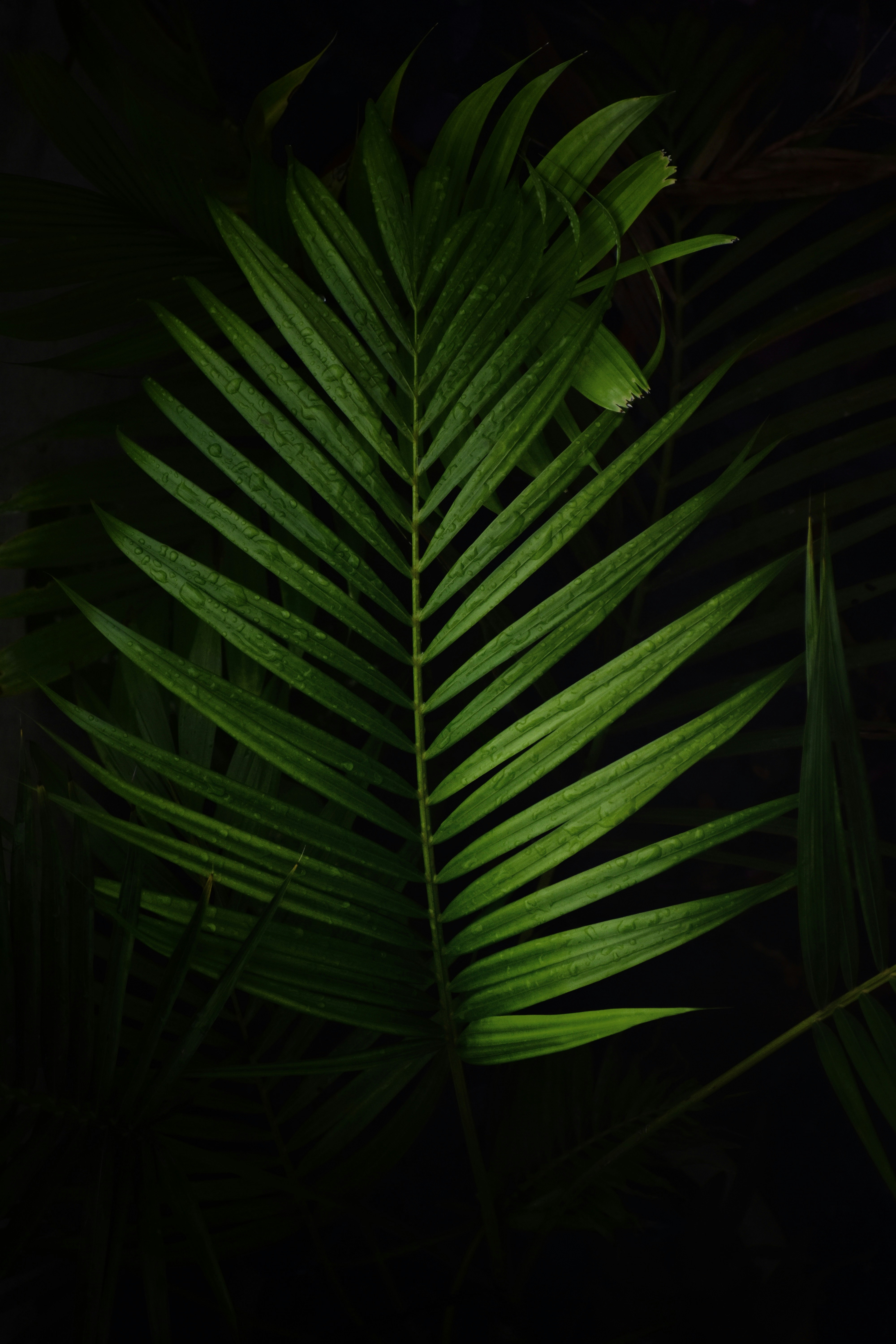 Photo by raymondpaulv