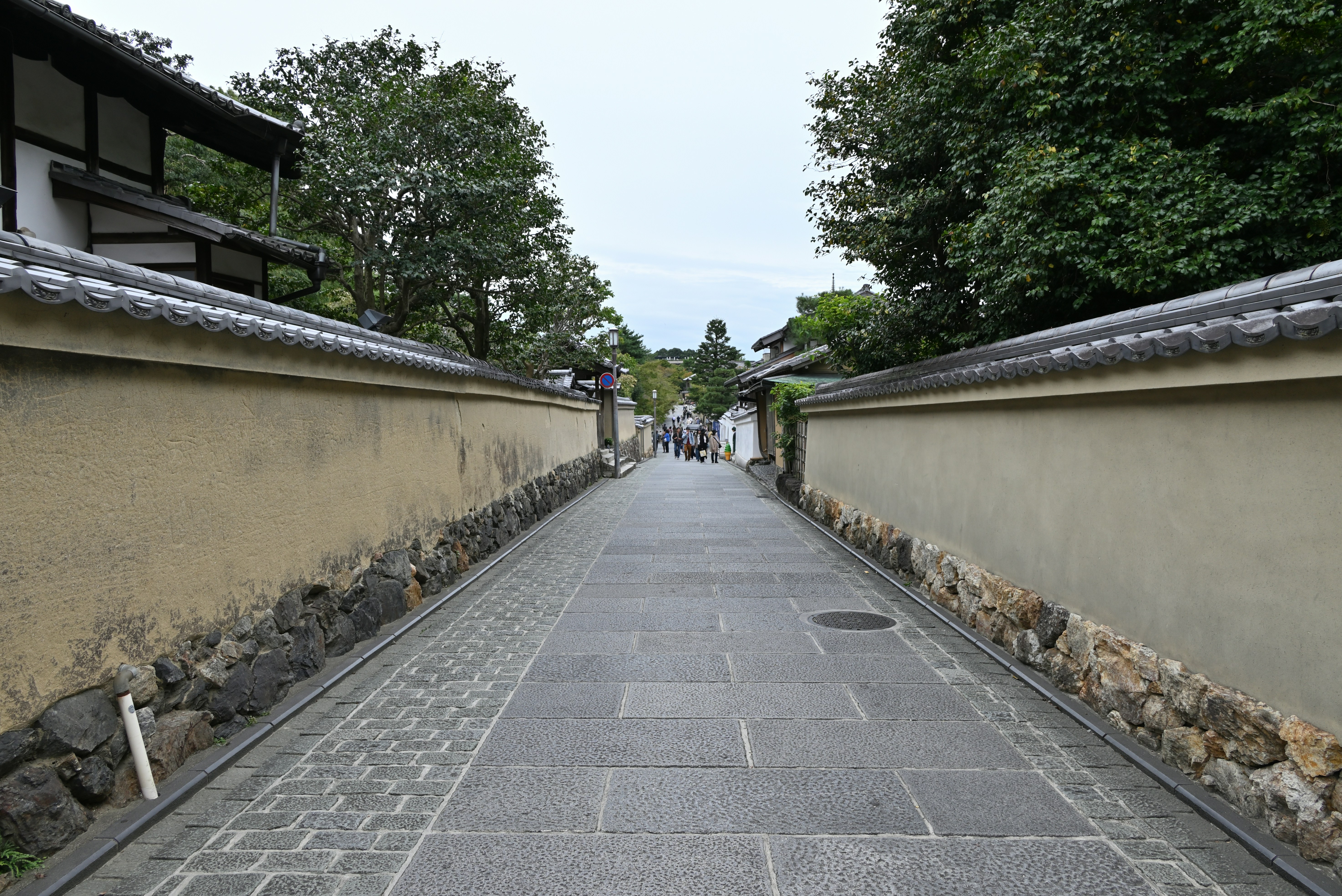 Photo by logichom