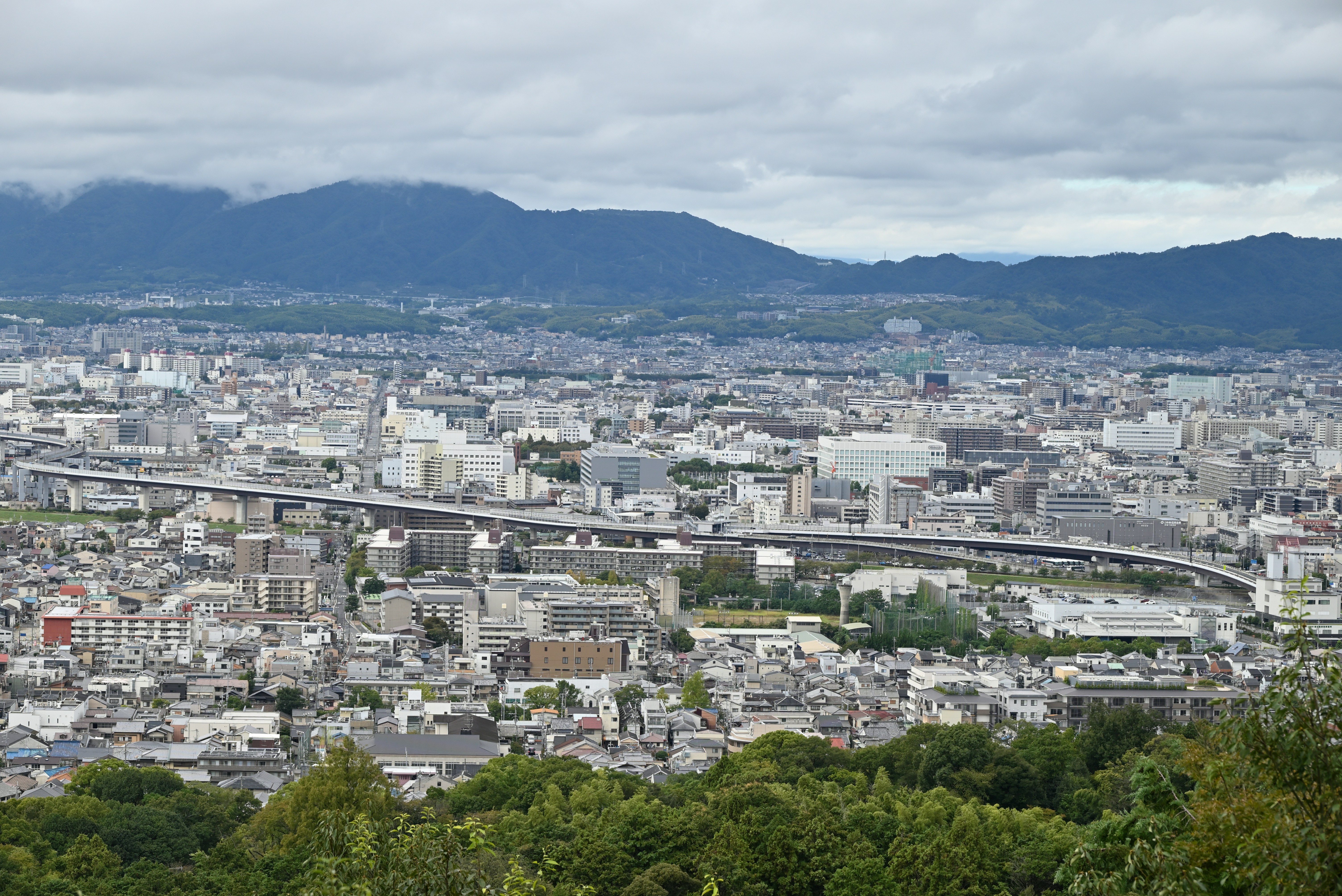 Photo by logichom