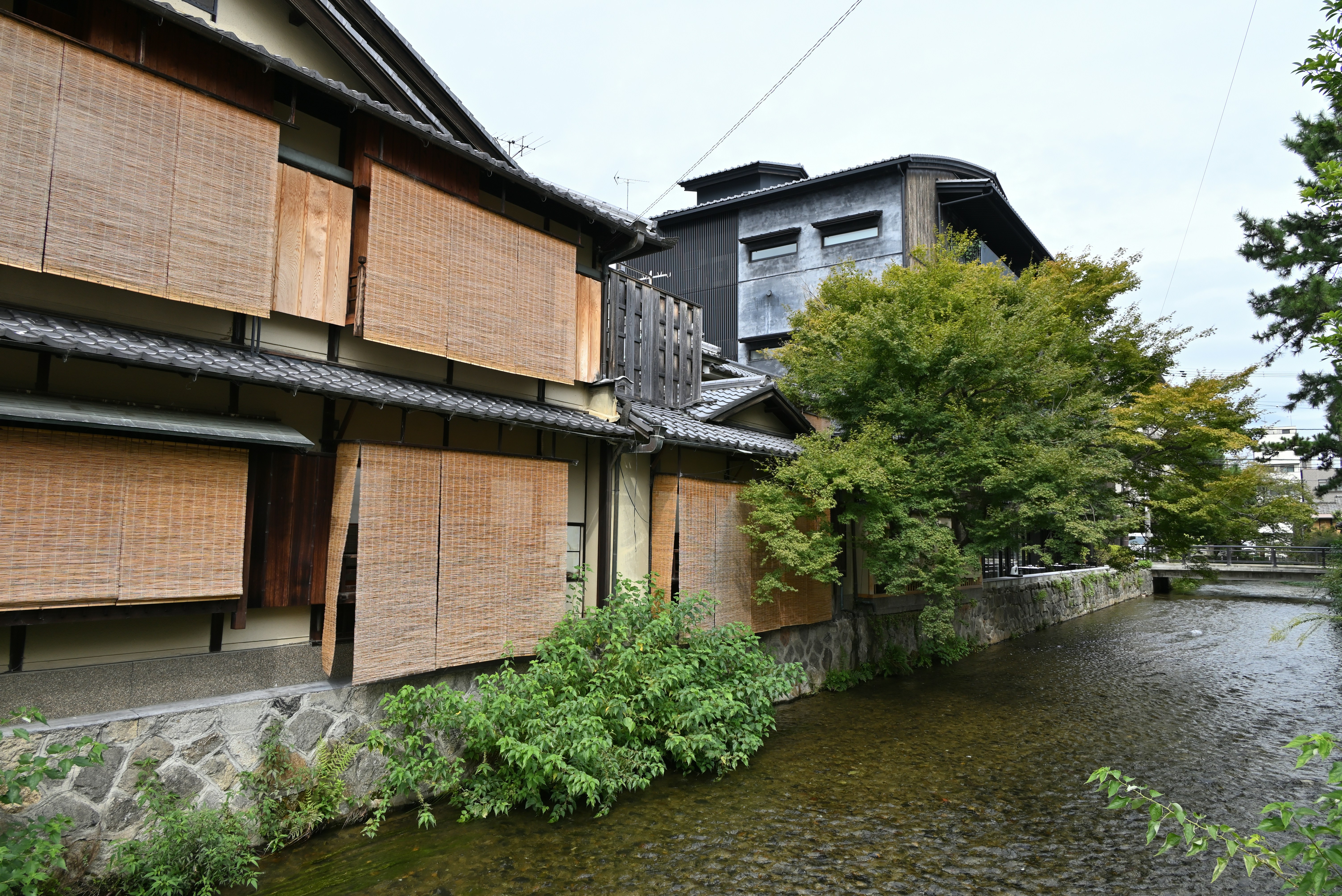 Photo by logichom
