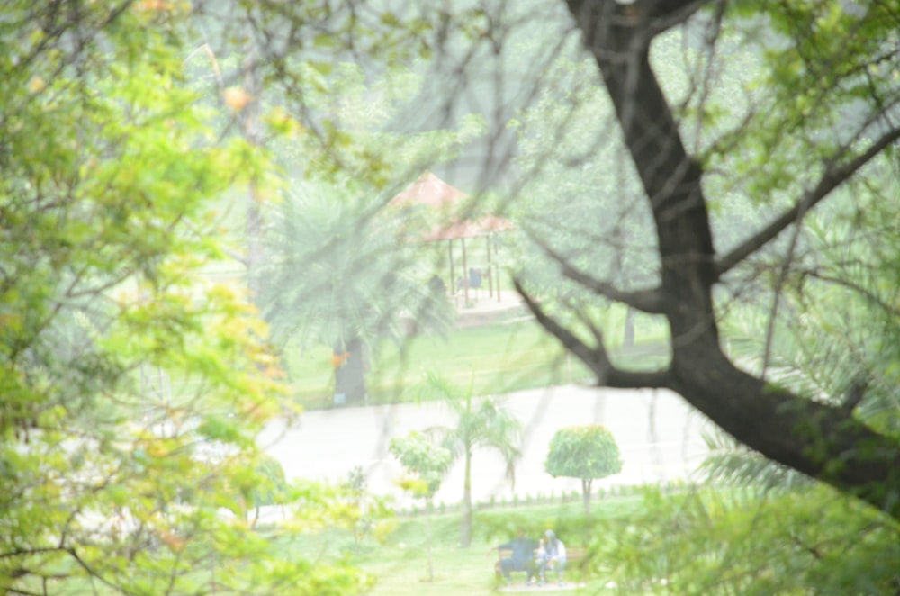 a view of a park through the trees