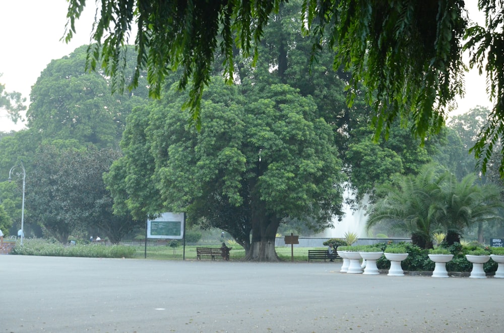 ein Park mit vielen Bäumen und Bänken