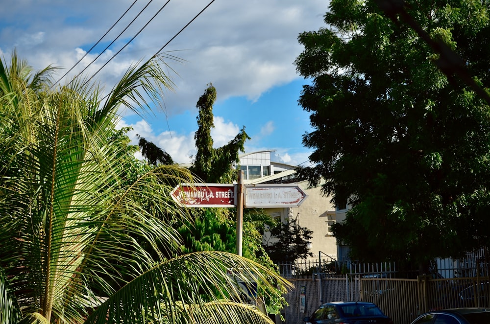 a red and white street sign sitting next to a lush green tree