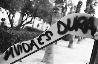 An outdoor scene featuring graffiti on a curved surface with the words 'VIDA ES DURA'. The background shows several trees and blurred figures walking on a path lined with palm trees.