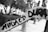 An outdoor scene featuring graffiti on a curved surface with the words 'VIDA ES DURA'. The background shows several trees and blurred figures walking on a path lined with palm trees.