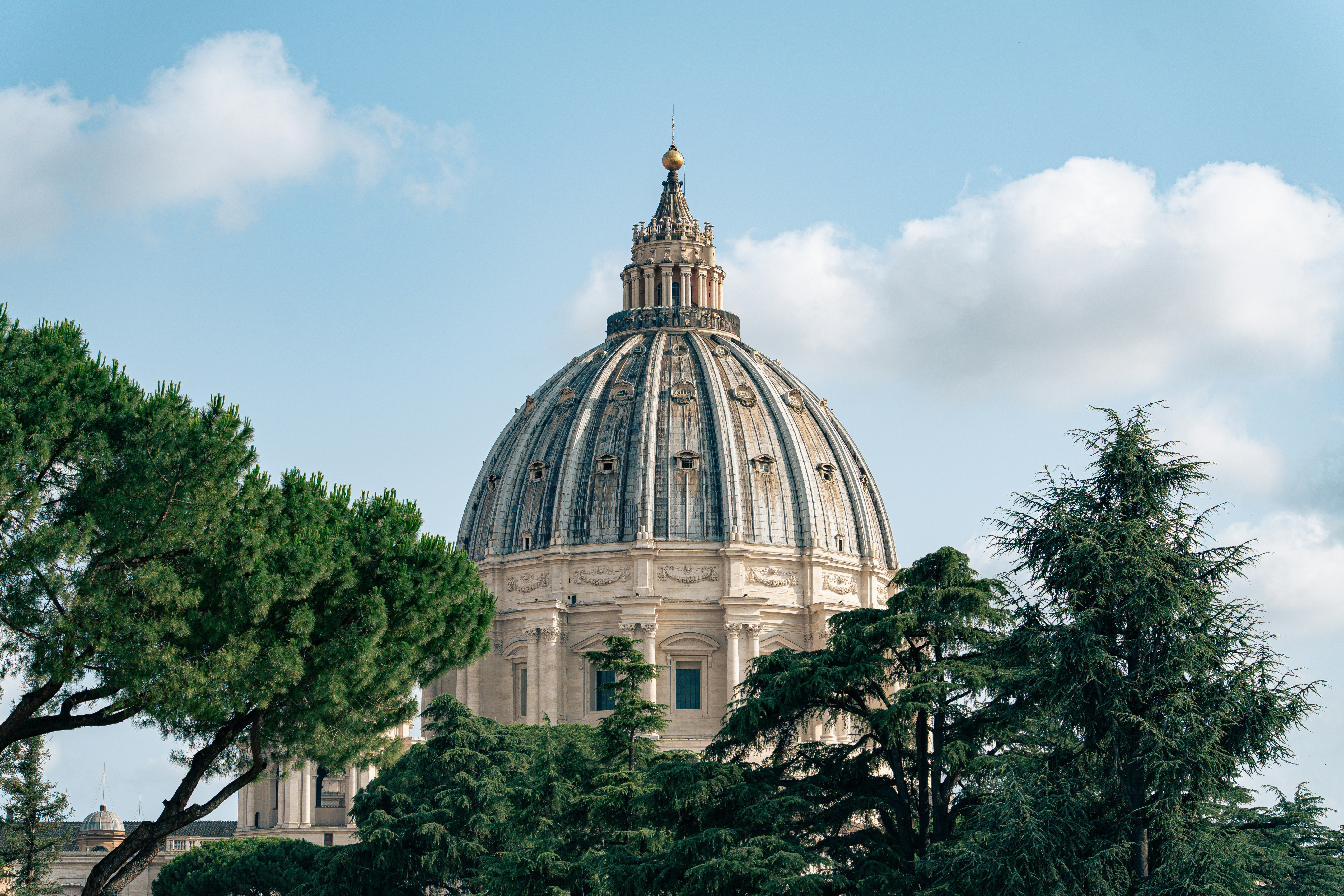 Photo by albert_canite