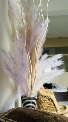 A delicate arrangement of soft pampas grass in neutral tones, displayed in a cozy living room corner.