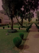 A well-maintained garden with neatly trimmed bushes and large trees. There is a stone pathway on the right side leading to a historical, white building with arches in the background. The garden is lush and green, indicating good upkeep.