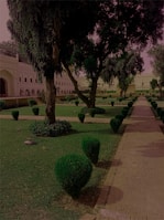 Garden area neatly maintained with trimmed bushes and clean pathways