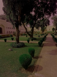 A well-maintained garden with neatly trimmed bushes and large trees. There is a stone pathway on the right side leading to a historical, white building with arches in the background. The garden is lush and green, indicating good upkeep.