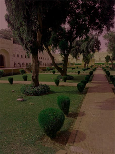 A well-maintained garden area with trimmed bushes and clean pathways.