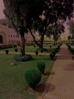 A well-maintained garden with neatly trimmed bushes and large trees. There is a stone pathway on the right side leading to a historical, white building with arches in the background. The garden is lush and green, indicating good upkeep.