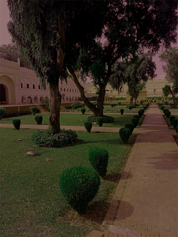 Well-maintained strata complex grounds featuring clean pathways and lush, healthy plants.
