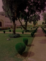 A well-maintained garden with neatly trimmed bushes and large trees. There is a stone pathway on the right side leading to a historical, white building with arches in the background. The garden is lush and green, indicating good upkeep.