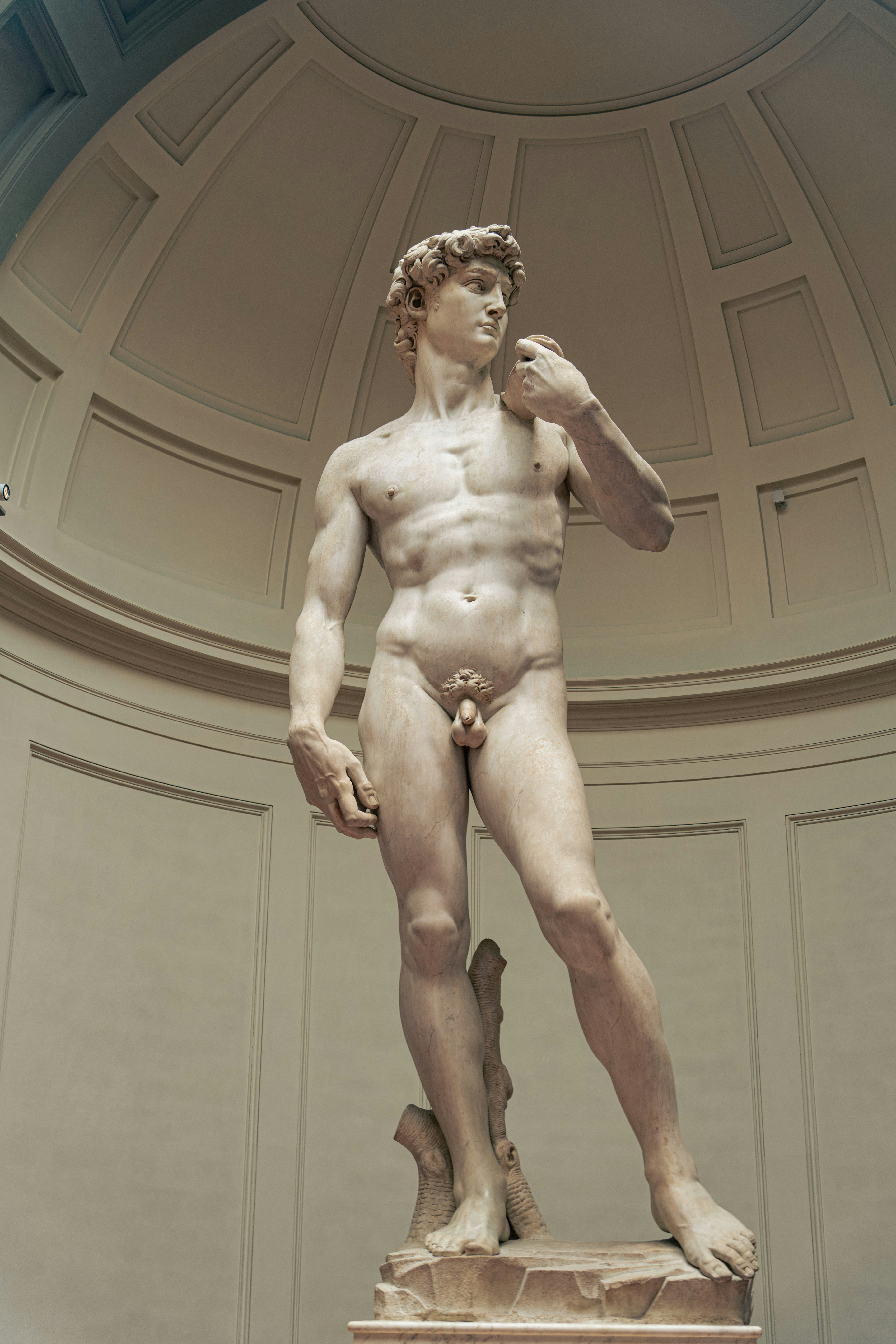 Photo by albert_canite