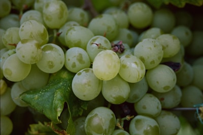 A close-up of a bunch of green grapes with fresh leaves. The grapes appear ripe, with a smooth and glossy surface, some showing small, natural spots. The image captures the natural texture and details of the fruit and leaves.