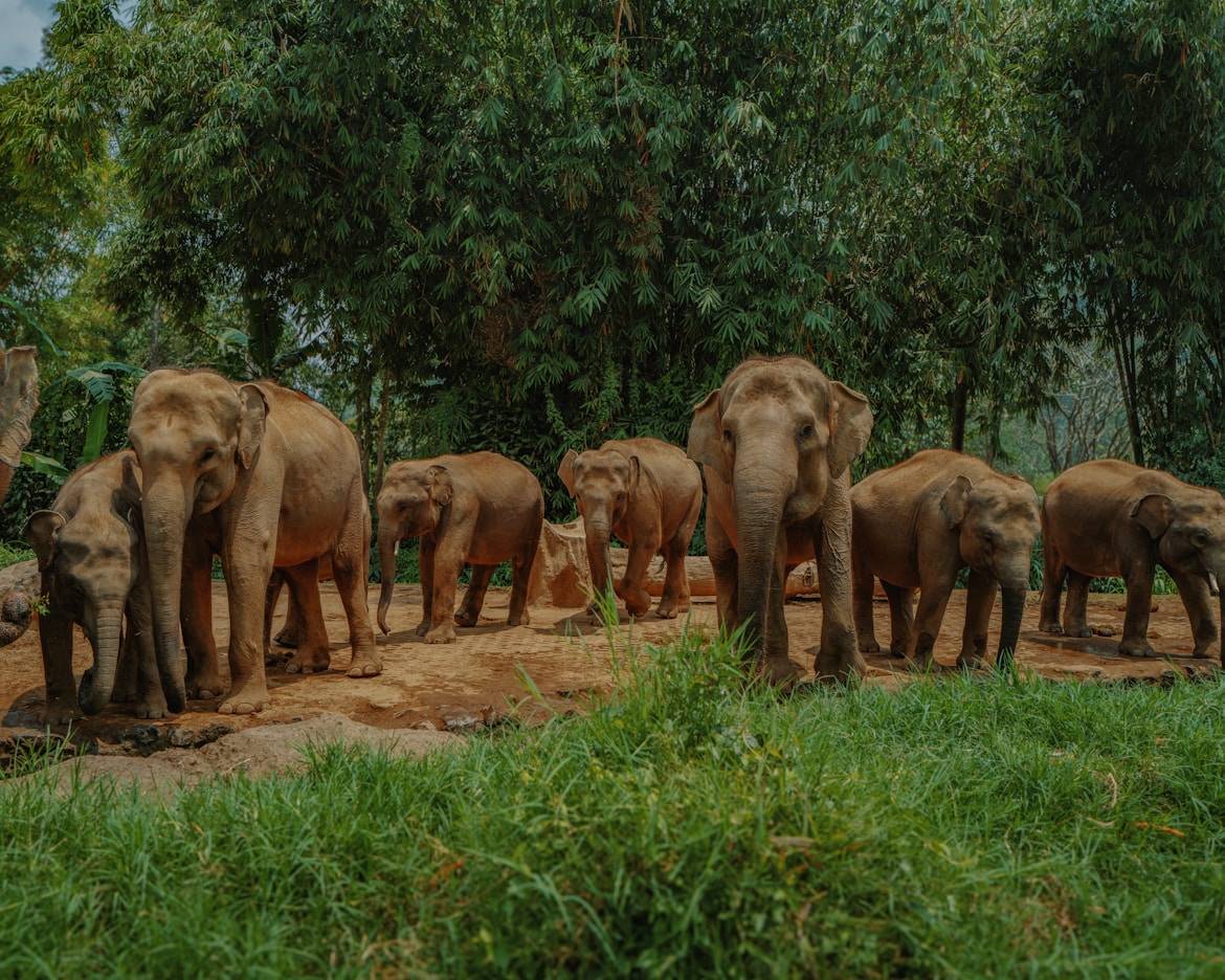 Sudan