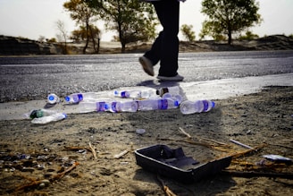 Plastic bottles are scattered across a roadside next to a person walking. The ground is sandy with some twigs and debris, while trees line the horizon. The scene appears desolate with an overcast sky.