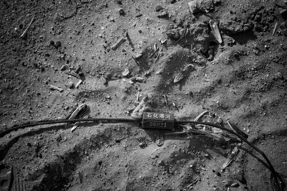 a black and white photo of a bike tire on the ground