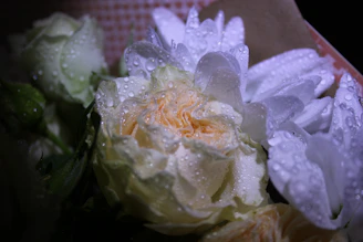 Close-up photo of fresh flor blooms glistening with morning dew under soft sunlight.